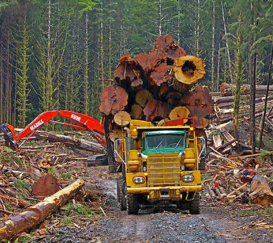 Logging Truck Zeballos - Vancouver Island, Canada